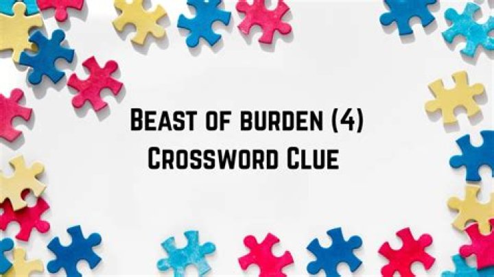 Beast of burden Crossword Clue Puzzle Answer With 5 letters