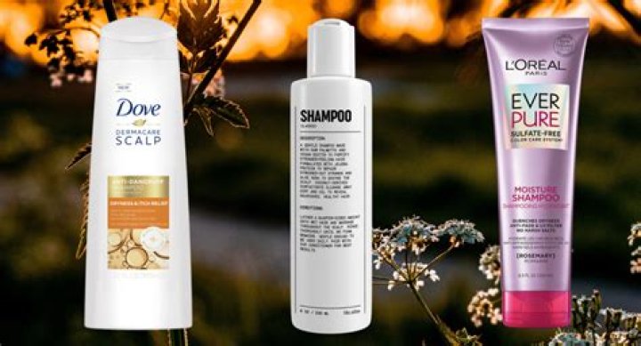 The 15 Best Shampoos for Dry Scalp of 2024