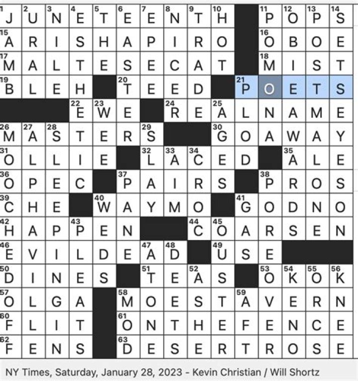 Boston Globe Plus One Jets' org. Crossword Clue, Jets' org. Answer