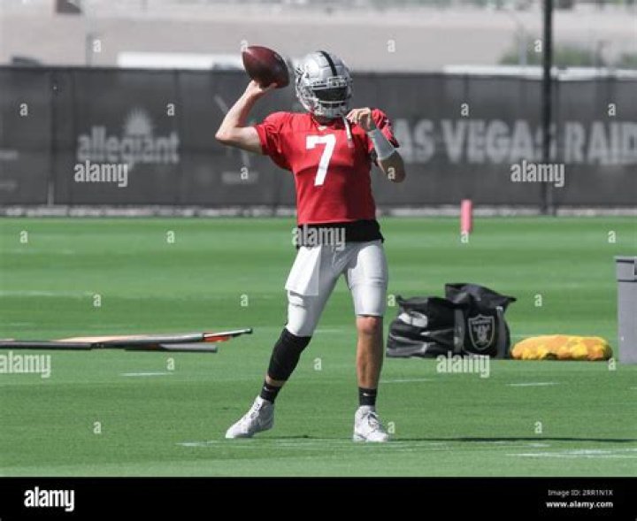 Brian Hoyer Salary & Contract
