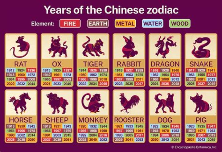 A Complete Guide To 12 Chinese Zodiac Signs And Horoscopes