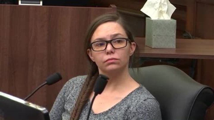 Erica Stefanko Wikipedia, Wiki, Verdict, Sentence, Age, Retrial, Released, Case