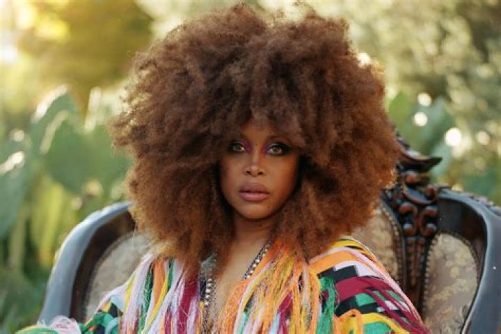 Erykah Badu Biography, Age, Wiki, Height, Weight, Boyfriend, Family & More