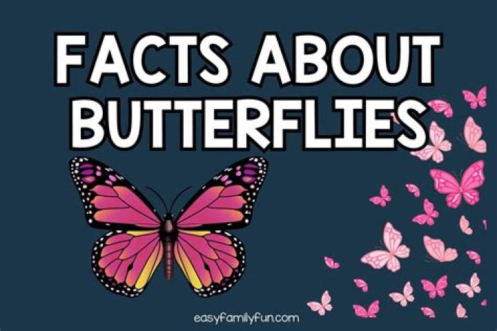 43 Mind Blowing Facts You Didn't Know About Beyoncé