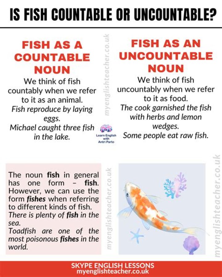FAQ: Is hardship countable or uncountable?