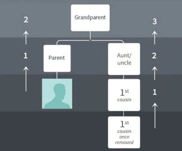 Viral TikTok Explains Meaning of First Cousin Once Removed