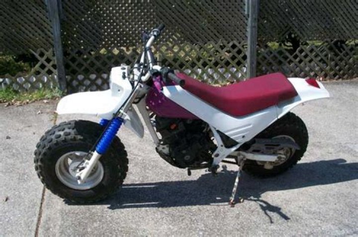 Honda TR200 Fat Cat Dirt Bike (Specs and Review) 2022