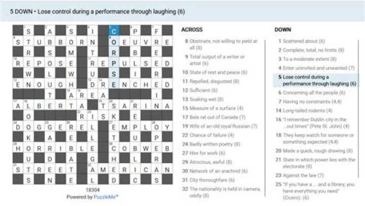 Irish Times Simplex Younger or lower in rank Crossword Clue Puzzle Answer With 6 letters