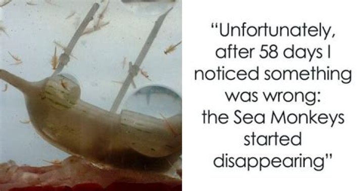 Man who invented Sea Monkeys made thousands from selling fish that never actually existed