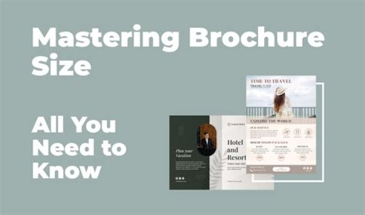 All You Need to Know