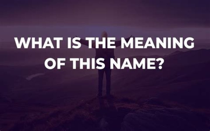 What does Fetty Wap's name mean?