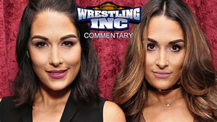 Bella Twins Break Silence Re: WWE Sexual Assault Allegations