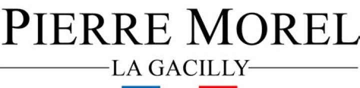 Pierre Morel (Mari de Laure Guibert) wikipédia, biographie, épouse, origine, femme, nouveau compagnon, taille, enfant et plus
