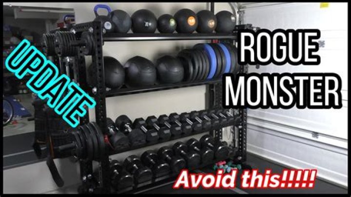 11 Reasons to Buy/Not to Buy Rogue Monster Mass Storage