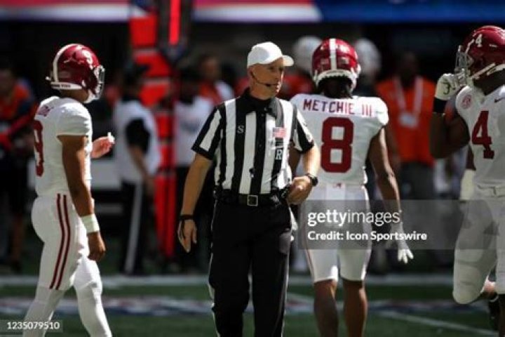 Ron Snodgrass Referee Wikipedia, Wiki, Hometown