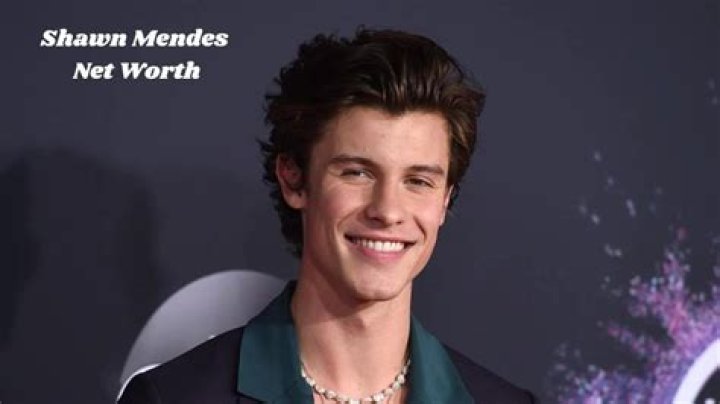 Shawn Mendes Net Worth - KahawaTungu
