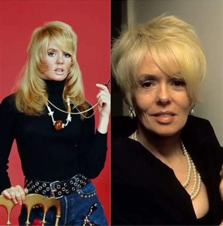 The Rise and Fall of Joey Heatherton: What happened to her?