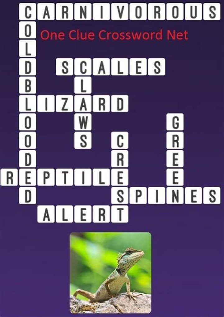 The Times Concise Legless lizard Crossword Clue, Legless lizard Answer
