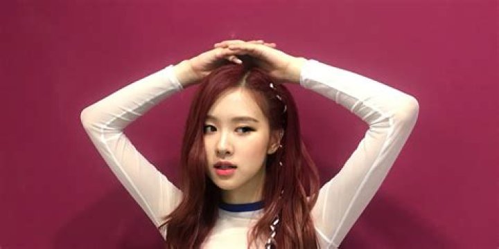 The Untold Truth Of ‘Black Pink’ Member – Roseanne Park