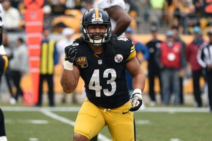 What Is Troy Polamalu Ethnicity, Net Worth, Career Highlights, Height, Wife, Stats, Age