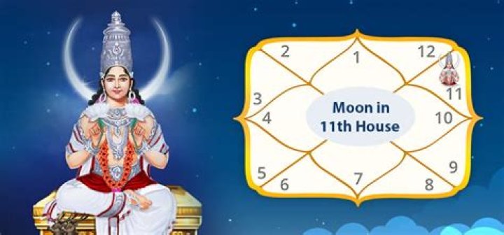 Virgo Sun in the 11th House — Truly Divine