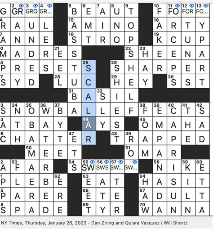 Wide area with limited site for excavation in usually dry valley Crossword Clue Puzzle Answer With 4 letters