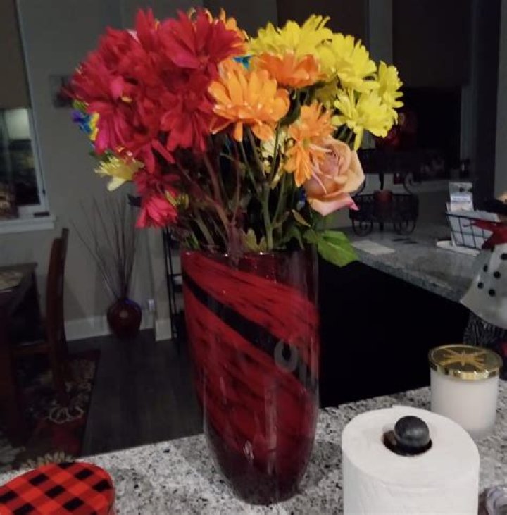 Zach Roloff : Latest News